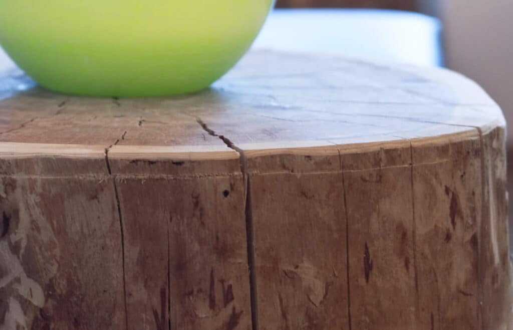 Der Fisser Wald in der Hotel Lounge und Bar. Natürlichkeit für Ihren Sommer-Urlaub in Tirol.