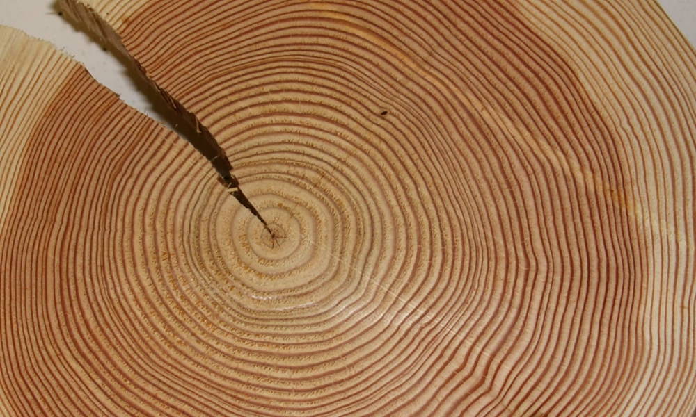 Entdecke_ Hotel Natürlich in Fiss, Tirol. Liebe zum Detail - Holz Jahresringe.