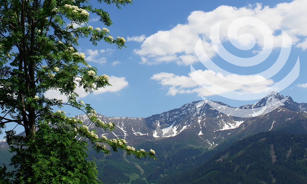 Bergluft in Serfaus-Fiss-Ladis. Berge und Sträucher.