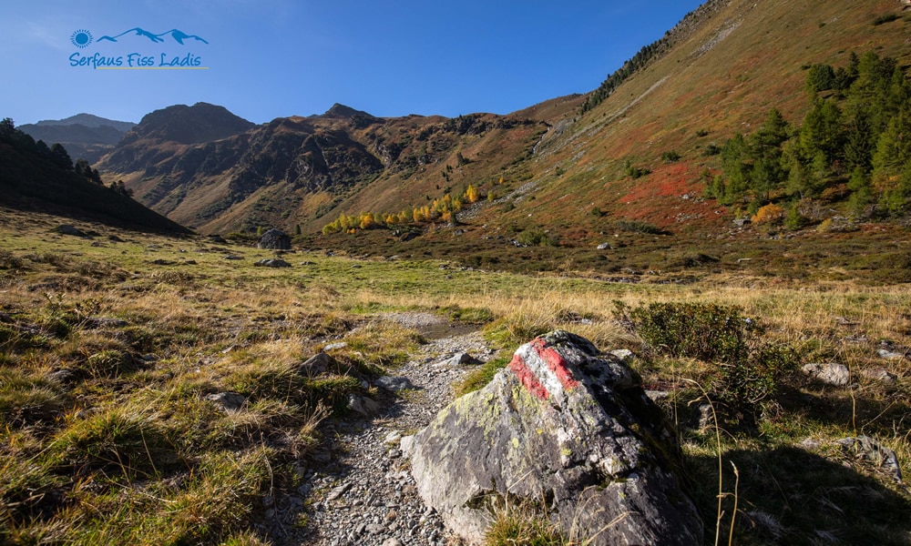 Natur in Serfaus-Fiss-Ladis in Tirol. Urgtal